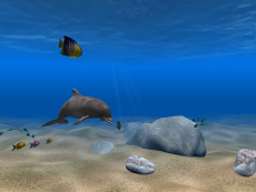 Скриншот 4 из 4 программы Dolphin Aqua Life 3D Screensaver