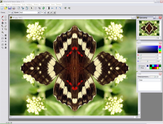 Скриншот 5 из 5 программы Altarsoft Photo Editor