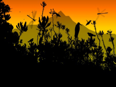 Скриншот 1 из 1 программы Colibri Screensaver