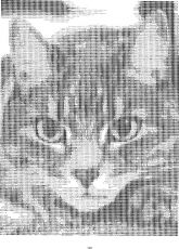 Скриншот 1 из 1 программы ASCII Art