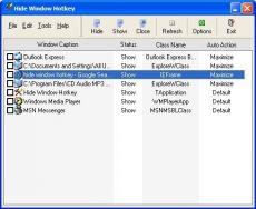 Скриншот 1 из 1 программы Hide Window Hotkey