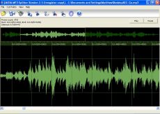 Скриншот 1 из 1 программы Meda MP3 Splitter