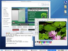 Скриншот 1 из 4 программы WindowBlinds