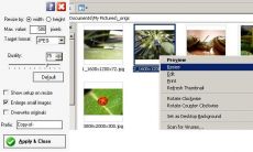 Скриншот 1 из 1 программы PicuSizer