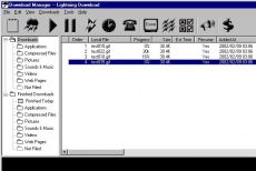 Скриншот 1 из 1 программы Lightning Download