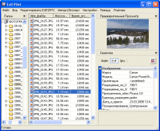 Скриншот 1 из 1 программы Batch Editing Plug-info ExifPilot