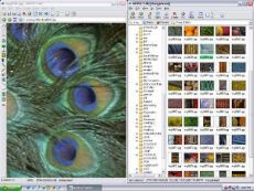 Скриншот 1 из 1 программы AI Picture Explorer