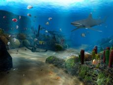 Скриншот 1 из 1 программы Ocean Dive