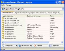 Скриншот 1 из 1 программы Internet Password Recovery Мастер