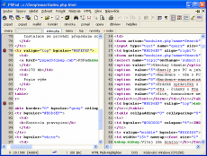 Скриншот 5 из 6 программы PSPad