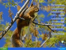 Скриншот 1 из 1 программы Nature Online Wallpapers