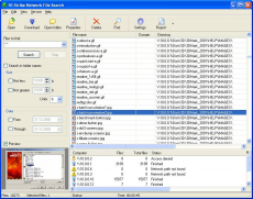 Скриншот 1 из 1 программы 10-Strike Network File Search