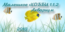 Скриншот 1 из 1 программы Маленькое ХОББИ Аквариум