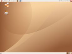 Скриншот 1 из 1 программы Linux Ubuntu