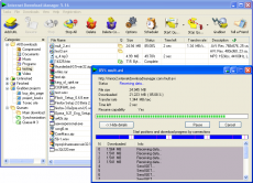 Скриншот 2 из 2 программы Internet Download Manager