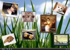 Скриншот 1 из 1 программы XDeskPhoto