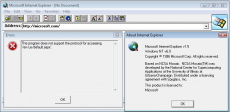 Скриншот 2 из 4 программы Internet Explorer Collection