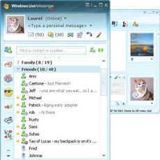 Скриншот 1 из 1 программы Windows Live Messenger