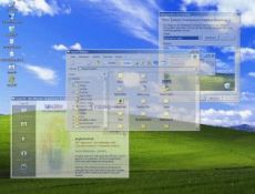 Скриншот 1 из 1 программы Trans-XP