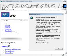 Скриншот 3 из 4 программы Internet Explorer Collection
