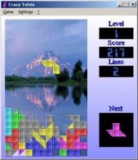 Скриншот 1 из 1 программы Crazy Tetris