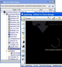 Скриншот 2 из 2 программы Web Archives Viewer