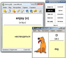 Скриншот 1 из 1 программы LearnWords Windows