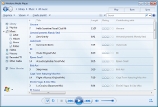 Скриншот 6 из 11 программы Windows Media Player Plus!