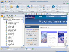 Скриншот 12 из 12 программы WebCopier