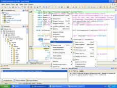 Скриншот 1 из 1 программы Web Development Studio