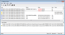 Скриншот 1 из 1 программы Registry Finder