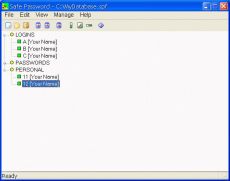 Скриншот 1 из 1 программы SafePassword