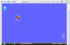 Скриншот 1 из 1 программы SkyFex Remote Desktop
