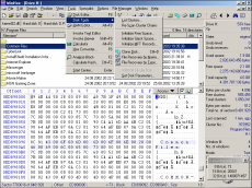 Скриншот 2 из 2 программы WinHex