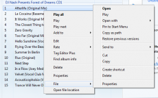 Скриншот 7 из 11 программы Windows Media Player Plus!