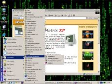 Скриншот 1 из 1 программы WinMatrix XP