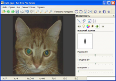 Скриншот 1 из 1 программы Pet Eye Fix Guide