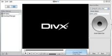 Скриншот 1 из 1 программы DivX