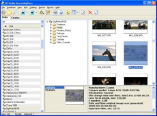 Скриншот 1 из 1 программы 10-Strike SearchMyDiscs
