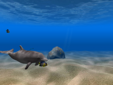 Скриншот 2 из 4 программы Dolphin Aqua Life 3D Screensaver
