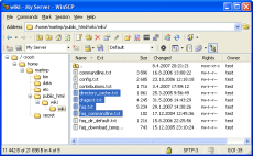 Скриншот 1 из 1 программы WinSCP