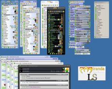 Скриншот 1 из 1 программы MirandaLS Online Constructor