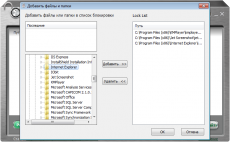 Скриншот 3 из 6 программы IObit Protected Folder