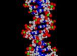 Скриншот 1 из 1 программы BioMolecula 3D ScreenSaver