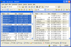 Скриншот 2 из 2 программы WinSCP