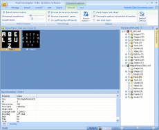 Скриншот 1 из 1 программы Flash Decompiler Trillix