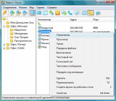 Скриншот 3 из 3 программы Radmin