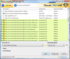 Скриншот 1 из 2 программы DownThemAll!