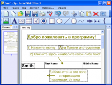 Скриншот 1 из 1 программы Form Pilot Office