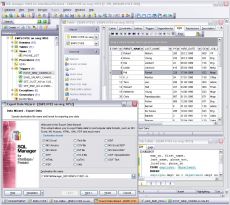 Скриншот 1 из 1 программы EMS IB/FB Manager 2008